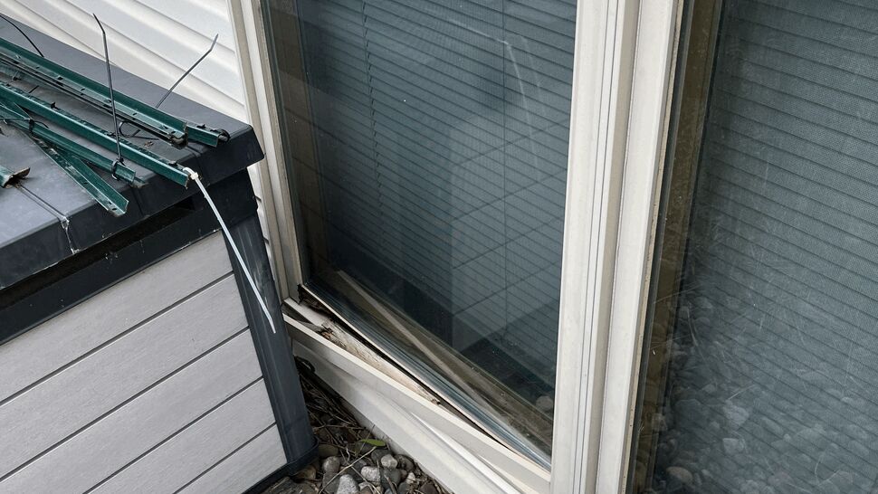 Window sill damage close-up | Lutgen Companies Aging sliding windows and patio door on a walkout-level home prior to window replacement in Big Lake, MN