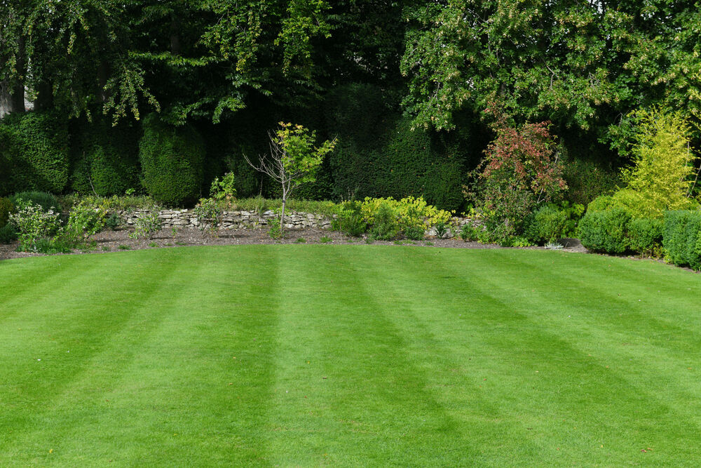 Lawn Maintenance Services