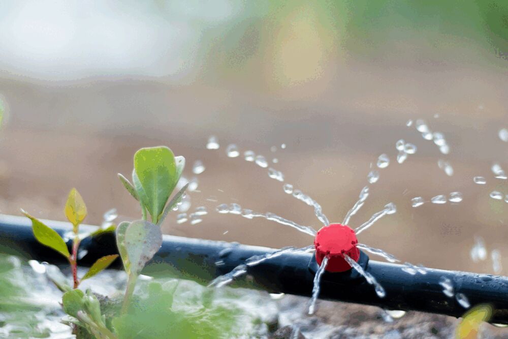 Irrigation Systems