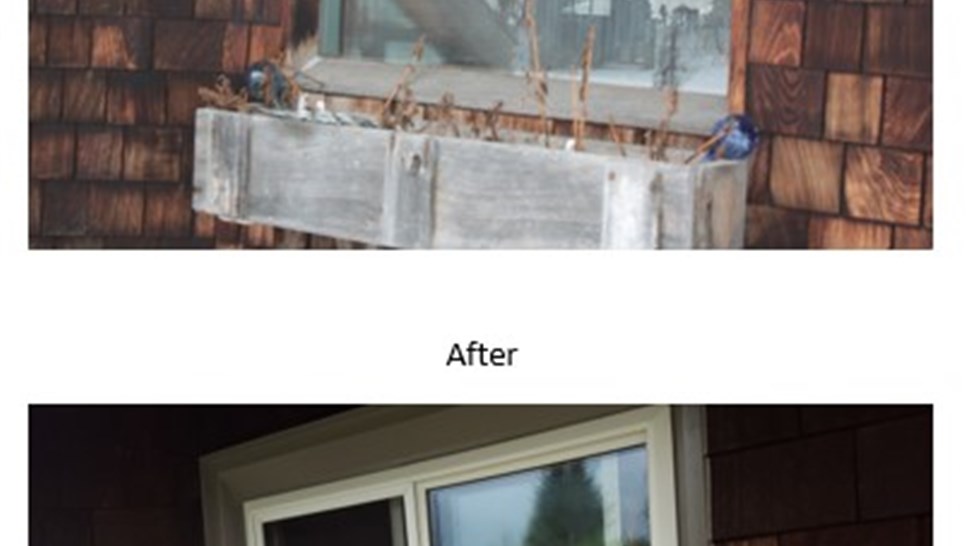 Windows Project in Jamesville, NY by C. Michael Exteriors, Inc.