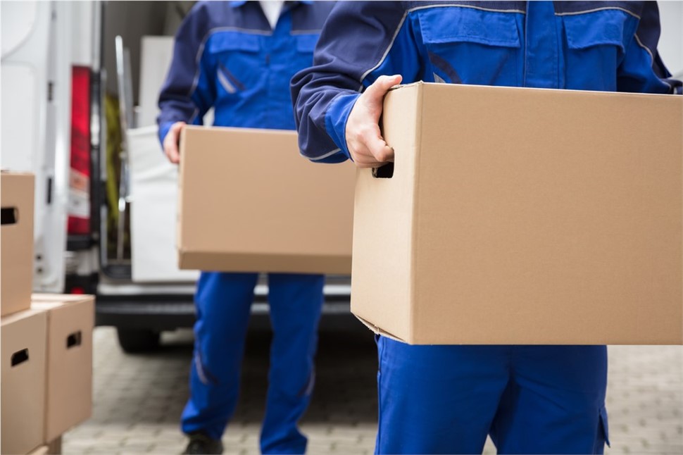 Next Day Delivery 