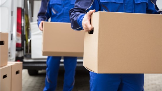 Next Day Delivery 