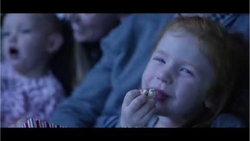 Owens Corning Roofing Photo 1